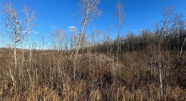 Photo of 30 acres on State Hwy 27, Ojibwa, WI 54862