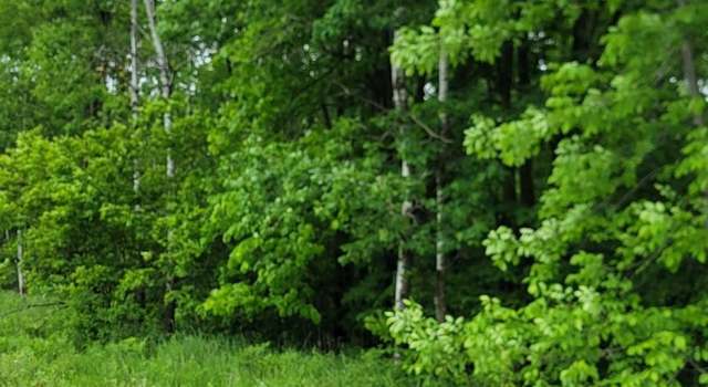 Photo of On Townline Rd, Radisson, WI 54867