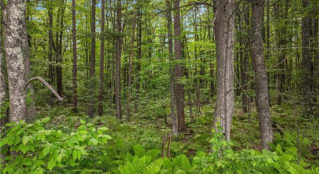 Photo of Off of Mc Claine Rd, Hayward, WI 54843