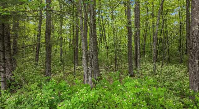 Photo of Off of Mc Claine Rd, Hayward, WI 54843