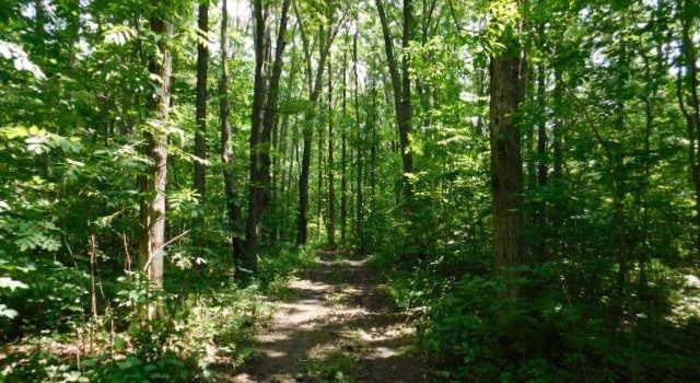 Photo of Lot 1 County Highway F, New Auburn, WI 54757