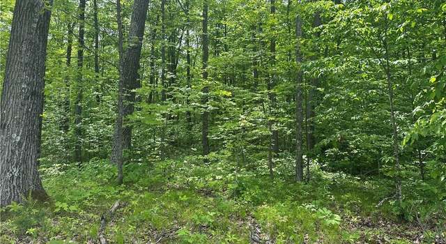 Photo of 10191 Hardwood Hills Dr, Hayward, WI 54843