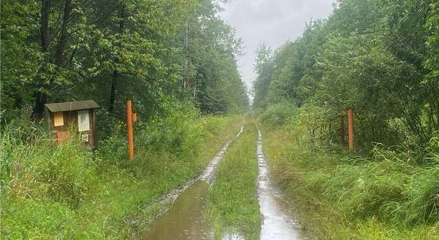 Photo of Near County Road M, Hawkins, WI 54530