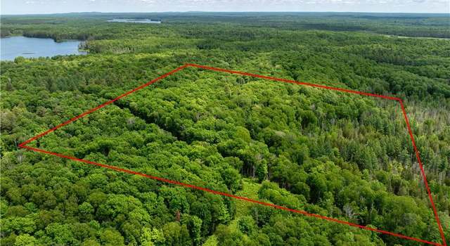 Photo of 33 Acres Buffalo Lake Rd, Cable, WI 54821