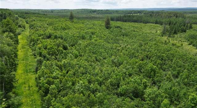Photo of 80 Acres Off Of Highway 40, Radisson, WI 54867
