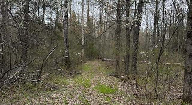 Photo of 0 Off Of Cricket Ln, Winter, WI 54896