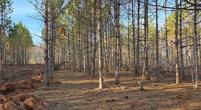 Photo of Lot 2 County Rd S, Wheeler, WI 54730