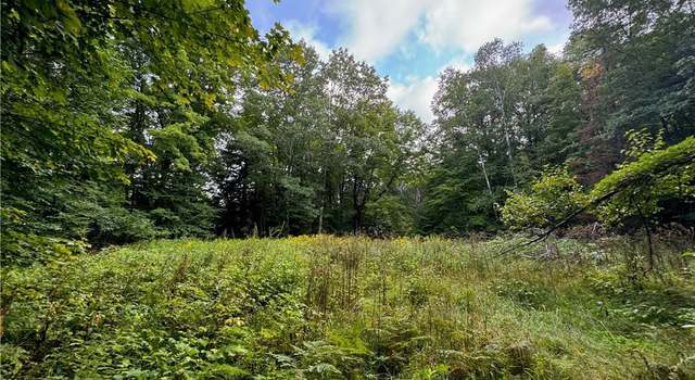 Photo of Lot 3 Scheers Rd, Hayward, WI 54843