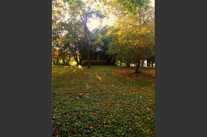 921 Broadway St, Stanley, WI 54768 | MLS# 1526373 | Redfin