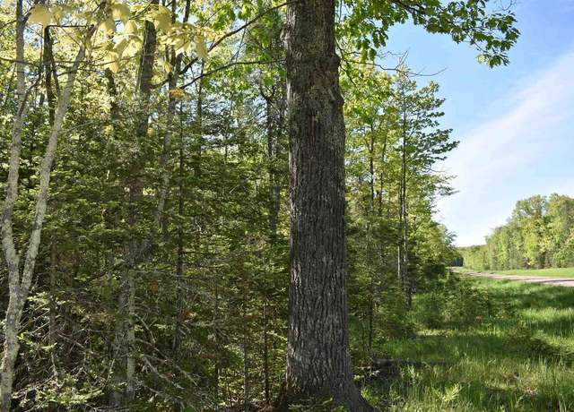Property at 60XXX Andrew Anderson Rd, Mason, WI 54856