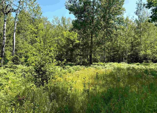 Property at 25XX North Shore Rd, La Pointe, WI 54850
