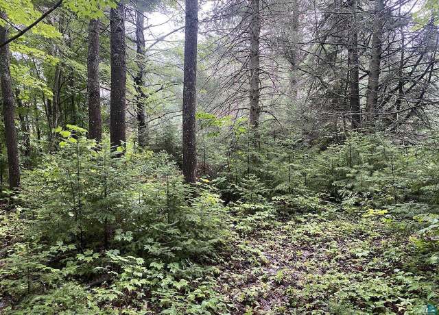 Property at 000 S Jones Rd, Washburn, WI 54891