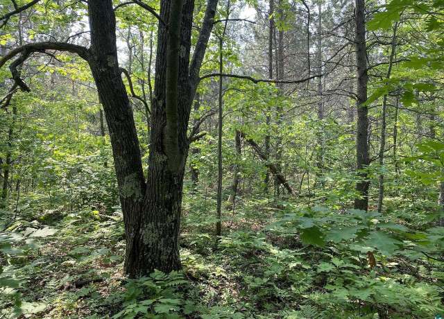 Property at 000 Five Acre Rd, Washburn, WI 54891