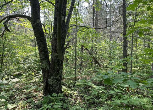 Property at 000 Five Acre Rd, Washburn, WI 54891
