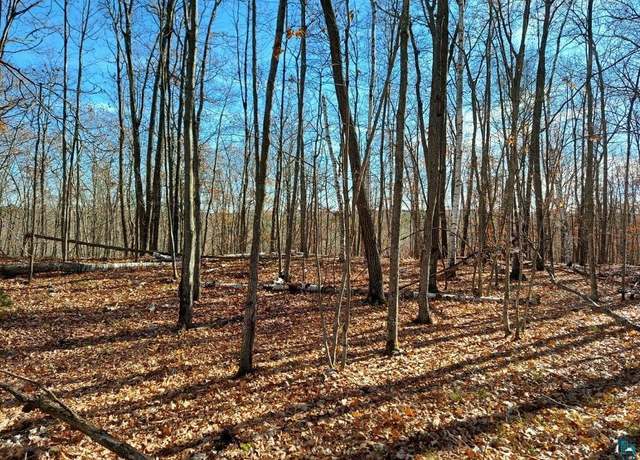 Property at 64445 E Bass Lake Rd, Iron River, WI 54847