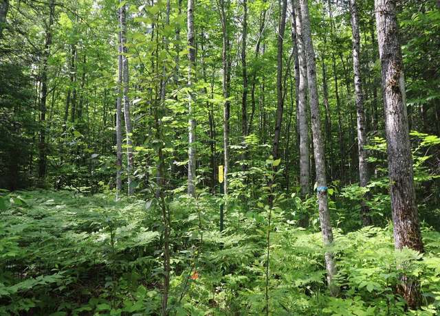 Property at 82XXX Lenawee Rd, Herbster, WI 54844