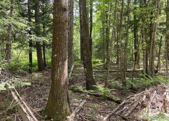 Property at 000 N Maple Hill Rd, Washburn, WI 54891