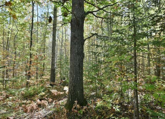 Property at Lot 1 County Hwy C, Cornucopia, WI 54827