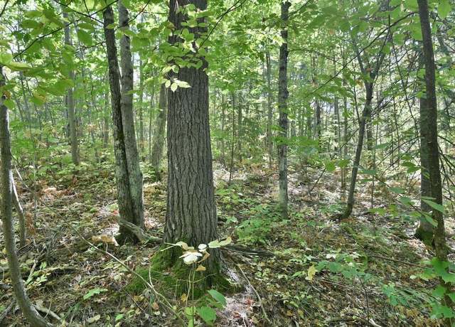 Property at Lot 2 County Hwy C, Cornucopia, WI 54827