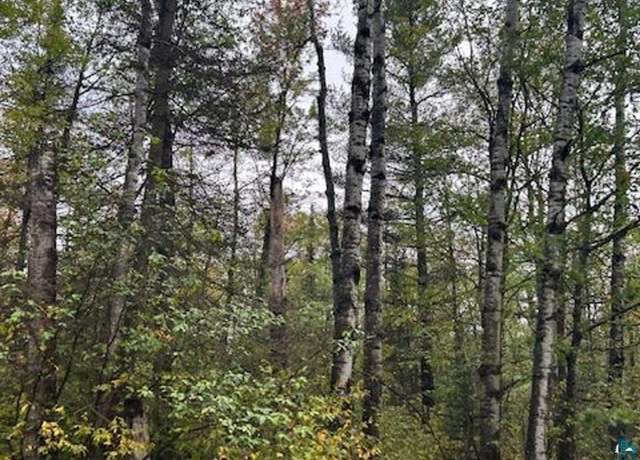 Property at XX3X Port Wing Town Line Rd, Port Wing, WI 54865