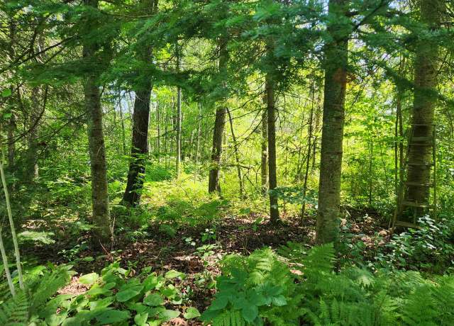 Property at XXX Creek Trl, Bayfield, WI 54814