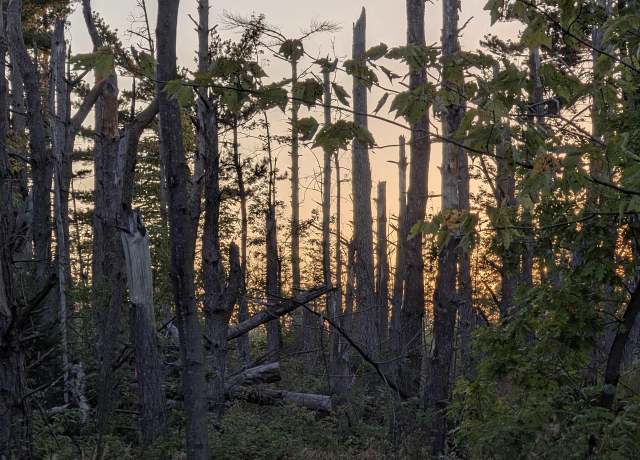 Property at 9.58 Acres on Peterson Hill Rd, Bayfield, WI 54814