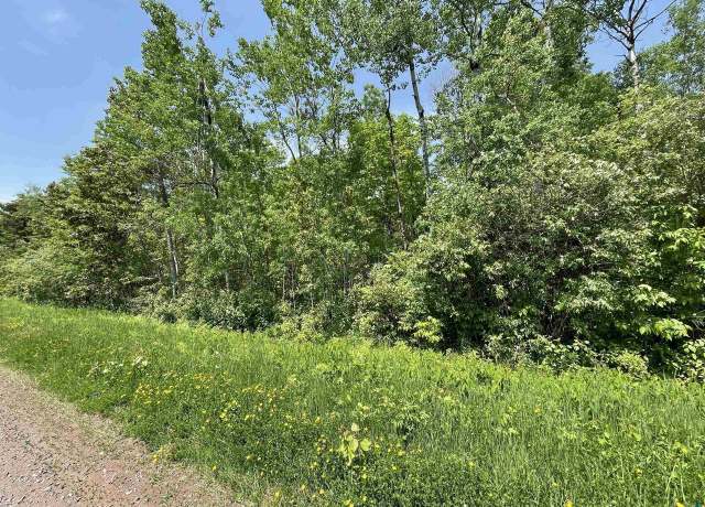 Property at 6.03 Acres E Orienta Falls Rd, Port Wing, WI 54865