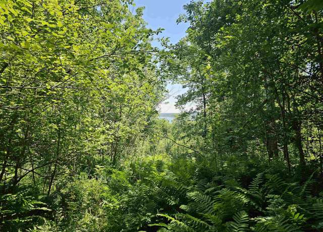 Property at xxxx State Highway 13, Washburn, WI 54891