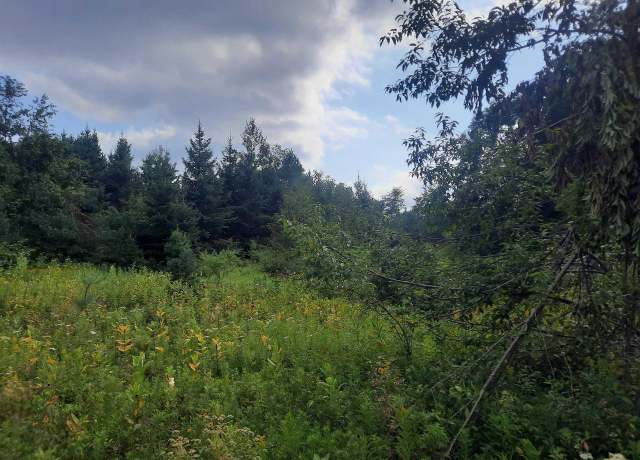 Property at Birchwood Ln, Ladysmith, WI 54848