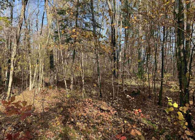 Property at Lot 17 & 18 Sleepy Fawn Ln, Delta, WI 54847
