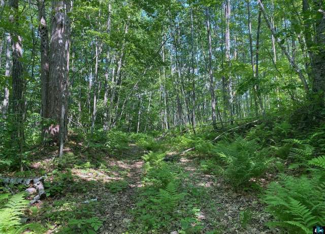 Property at 0 Secluded Trl, Hayward, WI 54843