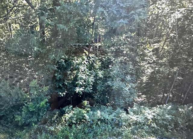 Property at 74XXX S Hallberg Rd, Lake Nebagamon, WI 54849