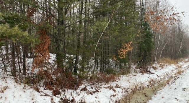 Photo of 00 - Lot 17 Brothers Loop Rd, Solon Springs, WI 54873