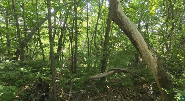 Photo of XX S 4th St, Bayfield, WI 54814