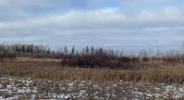 Photo of XXXX Ritzen Rd, Poplar, WI 54854