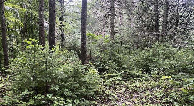 Photo of 000 S Jones Rd, Washburn, WI 54891