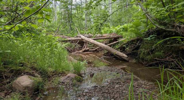 Photo of 80 Acres Near Tar Paper Aly, Orienta, WI 54820