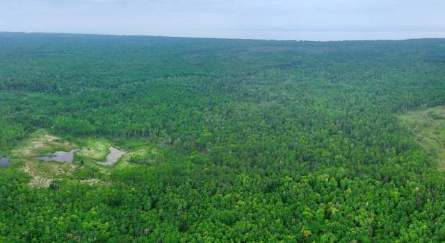 Photo of 80 Acres Near Tar Paper Aly, Orienta, WI 54820