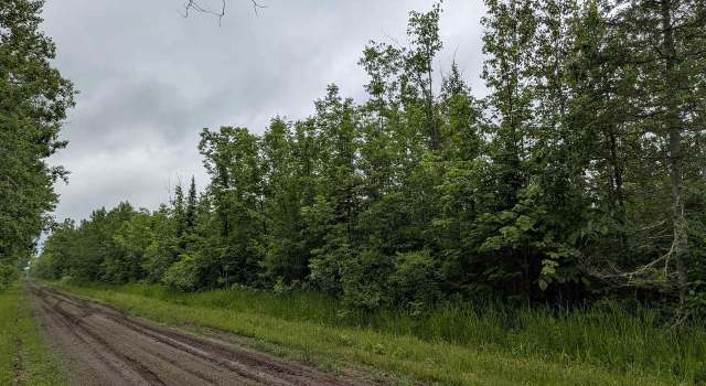 Photo of 80 Acres on County Line Rd, Brule, WI 54820
