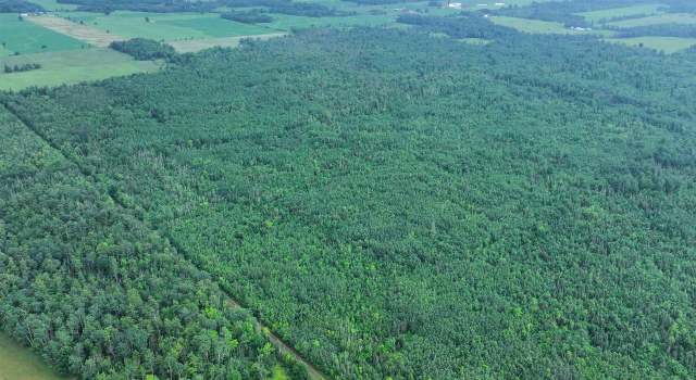Photo of 80 Acres on County Line Rd, Brule, WI 54820
