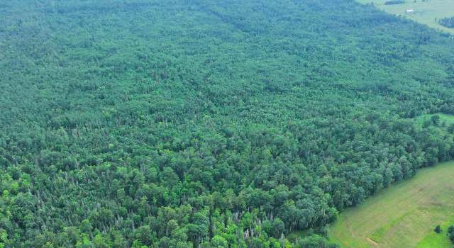 Photo of 80 Acres on County Line Rd, Brule, WI 54820