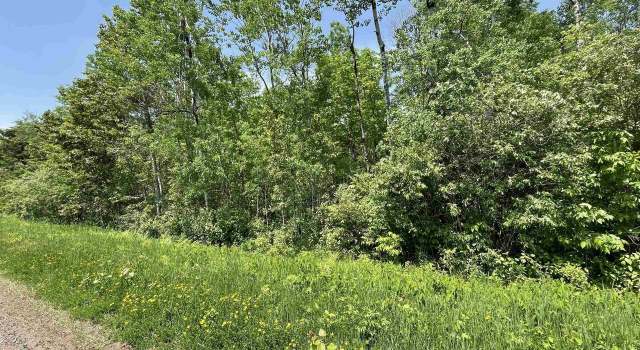 Photo of 6.03 Acres E Orienta Falls Rd, Port Wing, WI 54865
