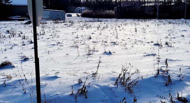 Photo of XXXX S Minneapolis Ave, Oliver, WI 54880
