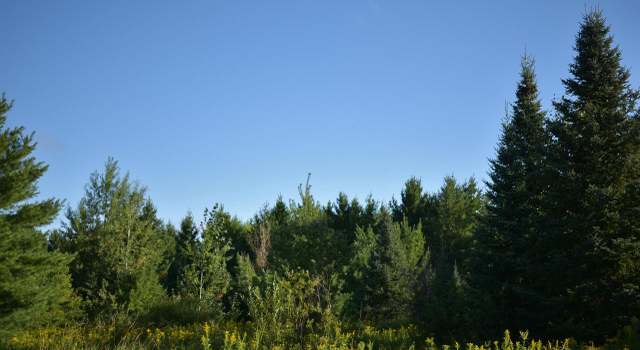 Photo of 30210 Wannebo Rd, Washburn, WI 54891