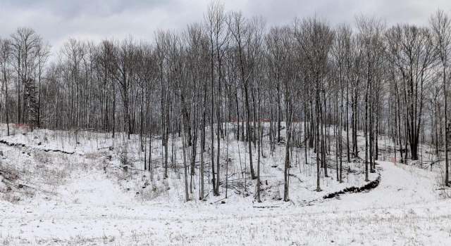 Photo of Lot 2 CSM 786 State Hwy 169, Mellen, WI 54546