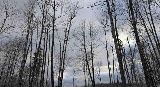 Photo of Lot 2 CSM 786 State Hwy 169, Mellen, WI 54546