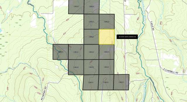 Photo of 40 Acres Near Lenawee Rd, Clover, WI 54844