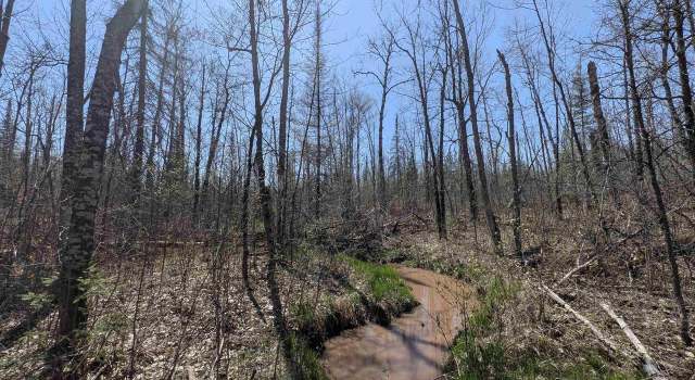 Photo of 67 Acres On County Hwy A, Iron River, WI 54847