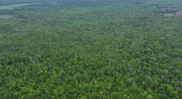 Photo of 67 Acres On County Hwy A, Iron River, WI 54847