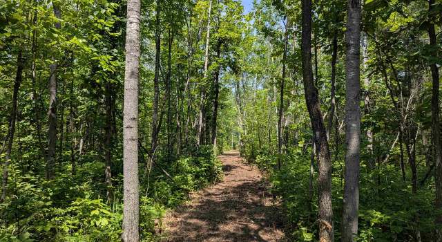 Photo of 67 Acres On County Hwy A, Iron River, WI 54847